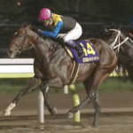 【ジャパンダートダービー】4番人気ノットゥルノ重賞初制覇!武豊JDD歴代最多4勝目