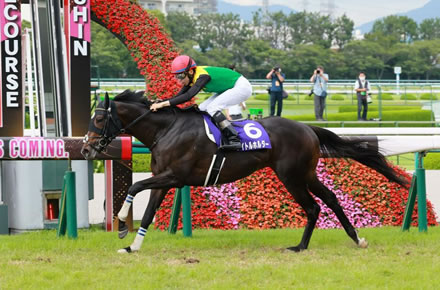 タイトルホルダーが日本史上最強馬だって気付いてるやついる？
