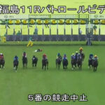 【阿武隈S】シンハリングさん、いきなり落馬www