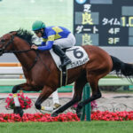【競馬予想】第54回函館2歳ステークス(GIII) /2022