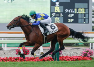 【競馬予想】第54回函館2歳ステークス(GIII) /2022