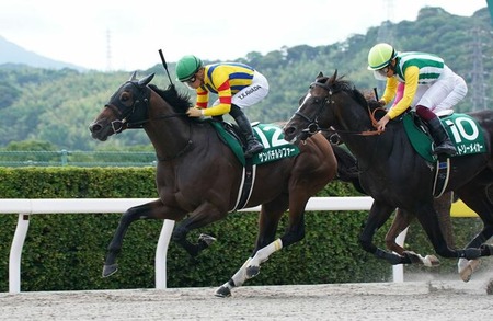 プロキオンステークス糞荒れすぎワロタwww