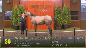 【セレクトセール2022】ウィキッドリーパーフェクトの2021（父サトノダイヤモンド）11,500万円で落札