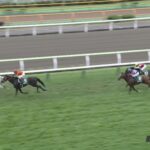 【函館記念2022】結果・動画/ハヤヤッコが早め抜け出しV