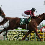 【競馬予想】第27回プロキオンステークス(GIII) /2022