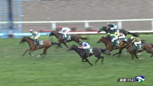 函館2歳S　反省会