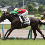 ダノンバラード種牡馬大成功な件