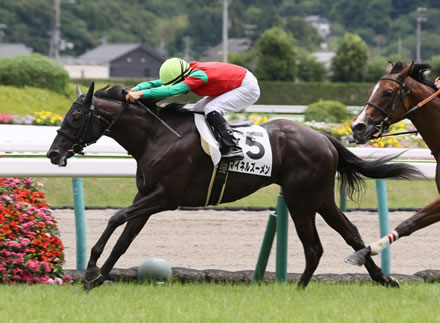 ダノンバラード種牡馬大成功な件