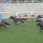 【競馬】函館メイン五稜郭S 武豊騎乗のフィオリキアリがV
