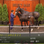 【セレクトセール2022】ミカリーニョの2022(父サートゥルナーリア)2億2千万円で落札