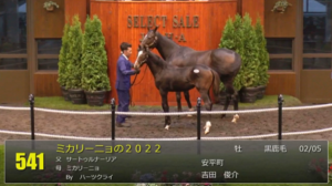 【セレクトセール2022】ミカリーニョの2022(父サートゥルナーリア)2億2千万円で落札