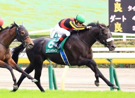 【ジャパンダートダービー】コマンドライン鞍上は川田将雅