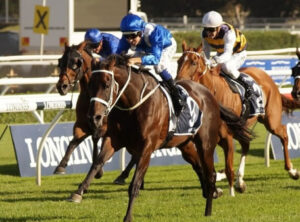 南半球の史上最強馬ってどの馬なん？