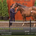 【セレクトセール2022】ポジティブマインドの2022、マニーズオンシャーロットの2022、スクールミストレスの2022 落札