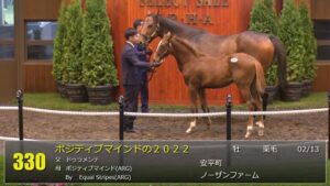 【セレクトセール2022】ポジティブマインドの2022、マニーズオンシャーロットの2022、スクールミストレスの2022　落札