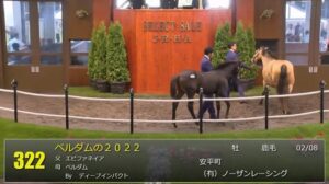 【セレクトセール2022】ベルダムの2022、アウェイクの2022　落札