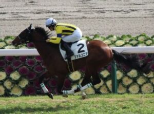 【競馬予想】第70回中京記念(GIII) /2022