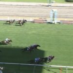 【競馬】アイビスサマーダッシュは杉原騎乗のビリーバーがV