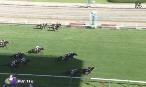 【競馬】アイビスサマーダッシュは杉原騎乗のビリーバーがＶ