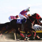 中央G1馬ノンコノユメがついに現役引退