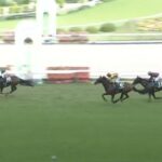 【競馬】七夕賞は田中勝騎乗のエヒトがV