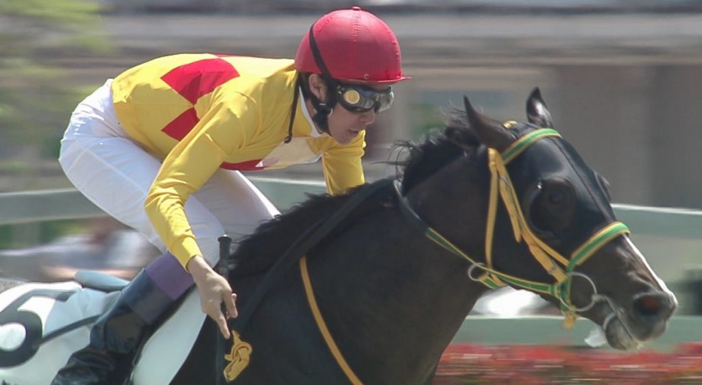 【競馬】武豊「クリストフ（ルメール）や菜七子のサインを知り合いから頼まれることもある」