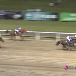 【スパーキングレディーカップ2022】結果・動画/ショウナンナデシコが断然人気に応える