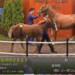 【セレクトセール2022】カゼルタの2022(父サートゥルナーリア)1億4千万円で落札