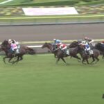 【七夕賞2022】出走予定馬・騎手/あなたの願いは?