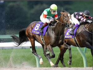 第26回メイセイオペラ記念マーキュリーカップ(JpnⅢ) 反省会