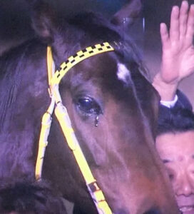最もヒロイン感があった牝馬