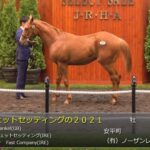 【セレクトセール2022】ジェットセッティングの2021(父フランケル)1億5千5百万円で落札