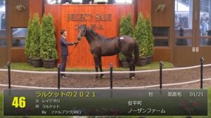 【セレクトセール2022】ラルケットの2021（父レイデオロ）2億2千万円で落札