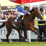 英ダービー馬デザートクラウン年内全休でタイトルホルダー凱旋門賞1番人気に浮上