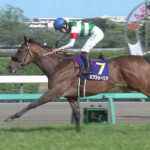 ●エフフォーリア秋三戦か