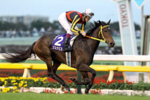 ブエナビスタってあのローテーションでよく頑張ったよな