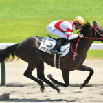 【競馬予想】[1]第58回CBC賞(GⅢ) /2022