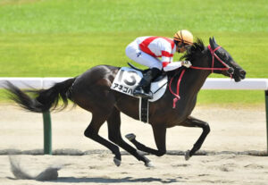 【競馬予想】[1]第58回CBC賞(GⅢ) /2022