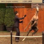 【競馬】一口馬主「ファンの皆さん、応援ありがとうございます」←これ