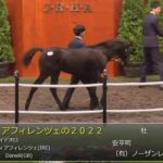 【セレクトセール2022】ヴィアフィレンツェの2022、シーズアタイガーの2022が落札