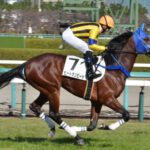 【競馬予想】第58回七夕賞(GIII) /2022
