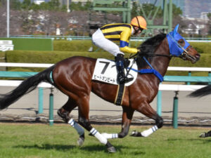 【競馬予想】第58回七夕賞(GIII) /2022