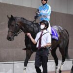 デアリングタクト秋始動戦はオールカマー 来年以降も現役続行