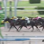 【競馬】プロキオンSは川田騎乗のゲンパチルシファーがV
