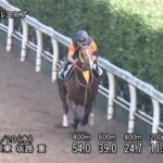 【中京記念2022】追い切り/抜群の動きを見せたのは