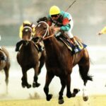 昭和の日本最強馬はシンボリルドルフでいいのかな?