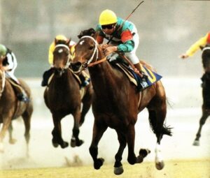 昭和の日本最強馬はシンボリルドルフでいいのかな?