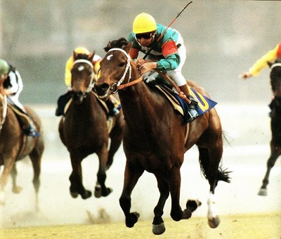 昭和の日本最強馬はシンボリルドルフでいいのかな？