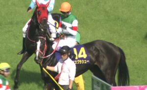 【競馬】リスグラシューG1成績　武豊5戦0勝　外人4戦2勝