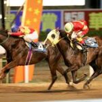 地方競馬はやめとけおじさん「地方競馬はやめとけ」